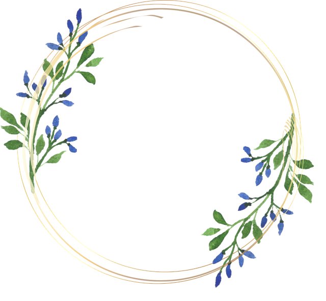 Jeremy Mitchell tweet media