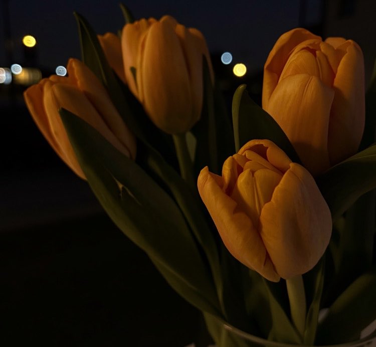 رنا بنت عبدالعزيز tweet media