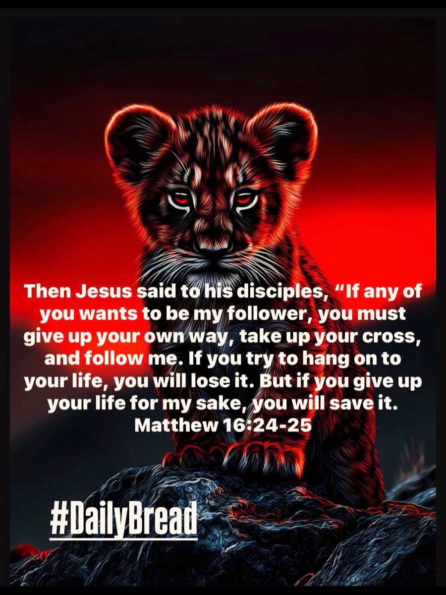 QBeast9922's tweet image. #Matthew 16:24–25
#DailyBread
