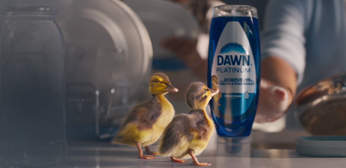 x - kiki tweet media