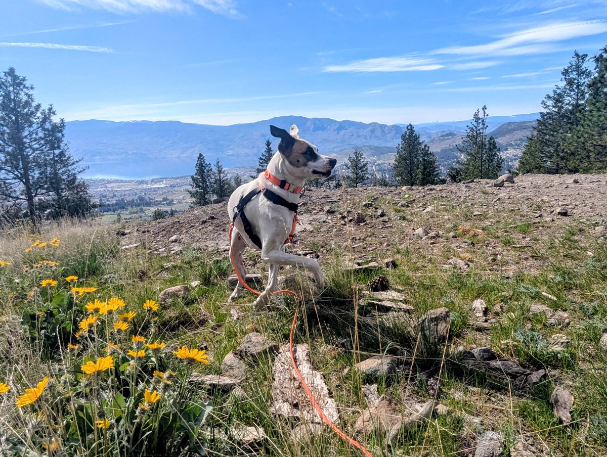 Eriko Sakaki tweet media