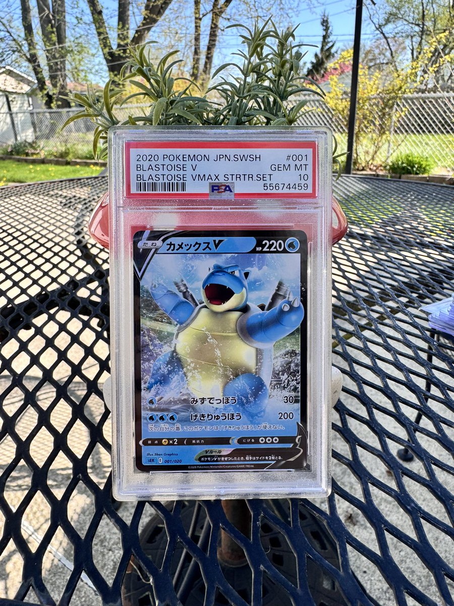 Kenzie ✨ tweet media