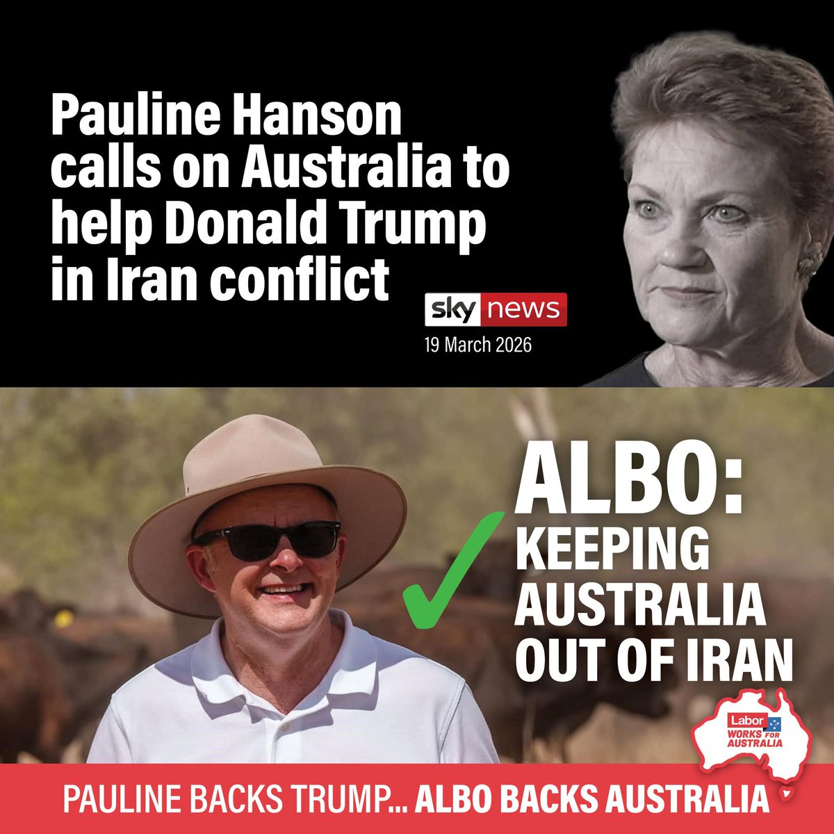 Quokka 🏳️‍🌈 tweet media