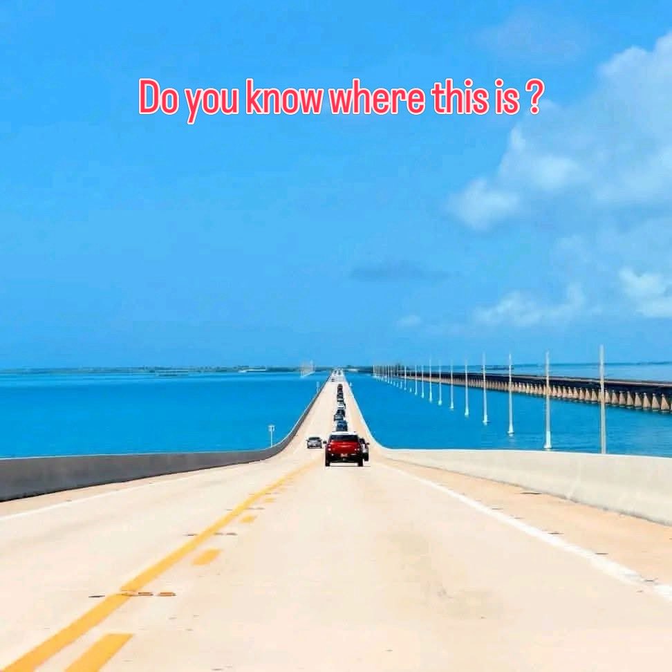 The Must Visit Magazine tweet media