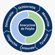 Jean-François Dann tweet media