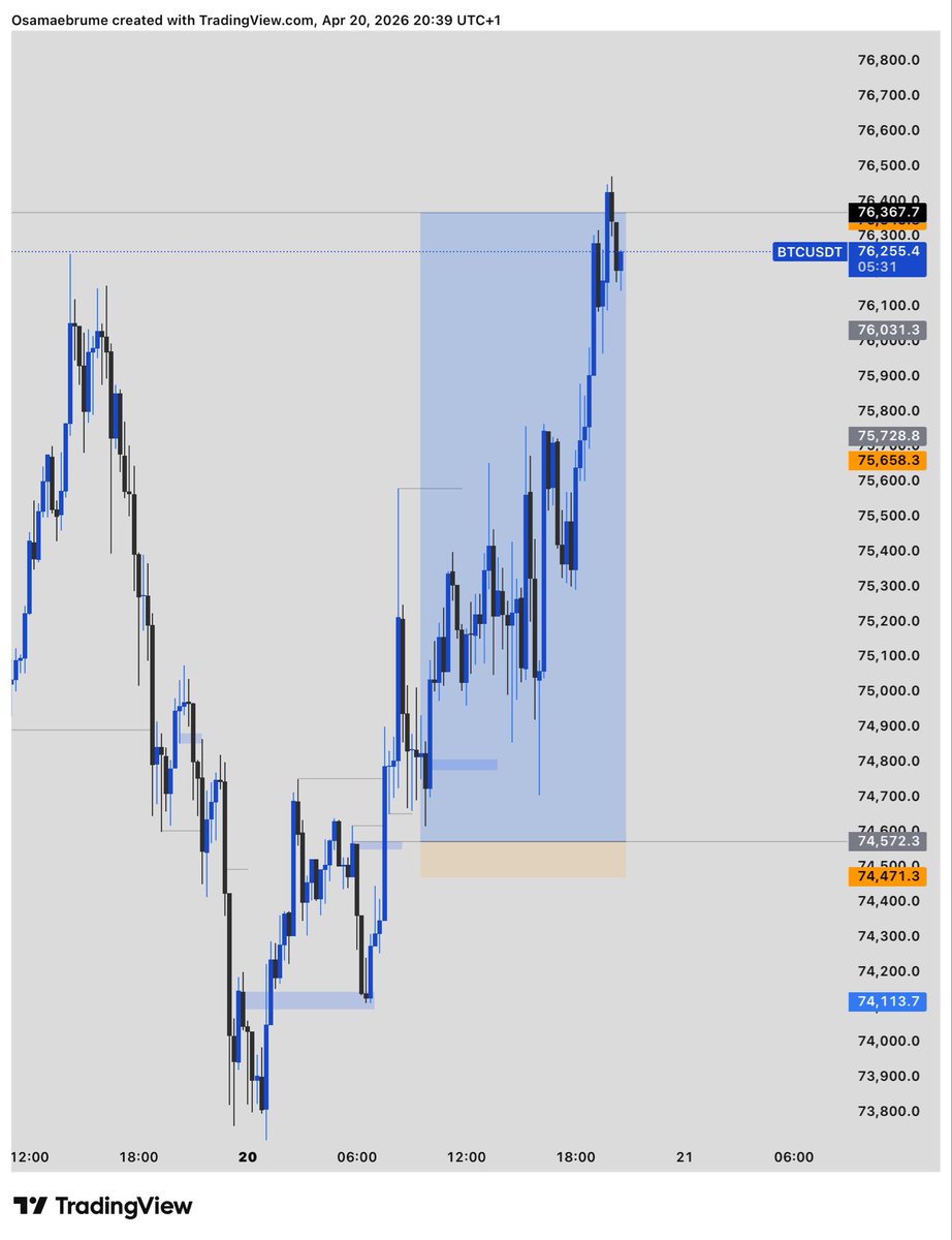 Osama Junior tweet media