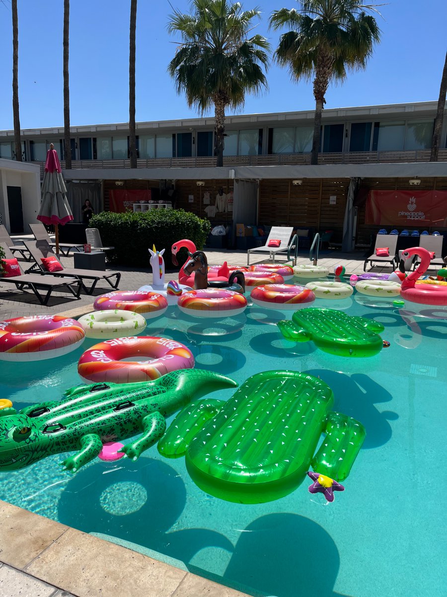 Gracie 💗💗 tweet media