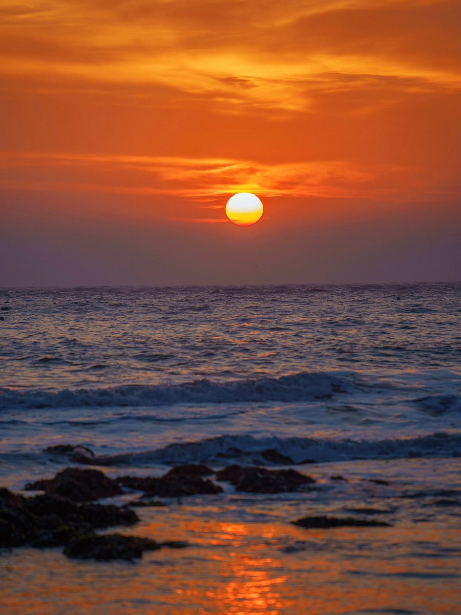 David John Medlar tweet media