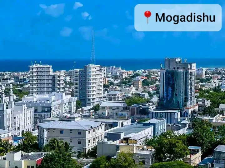 Mogadishu Port City tweet media