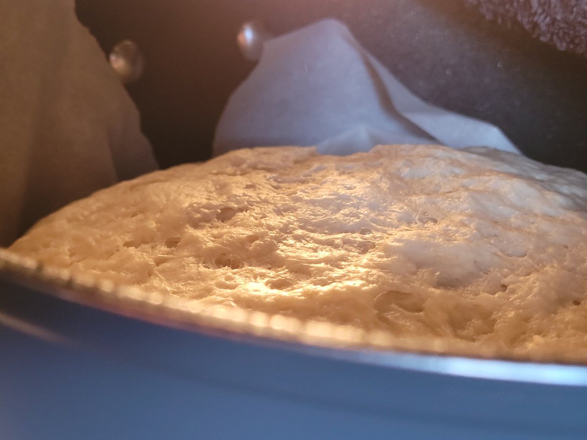 cellswordrin's tweet image. It grew 👀👀 (yuss!) 👩🏾‍🍳 👍🏾 good good good. First time making this recipe. Looks solid. Smells great!
➡️ Just proved the dough in a warm oven!
#Foodie #Cooking #greekcuisine #GoodAfternoon #GoodVibes #allday #anyday #yeschef #cook #HaveABrightDay ꉂ🌻🎵