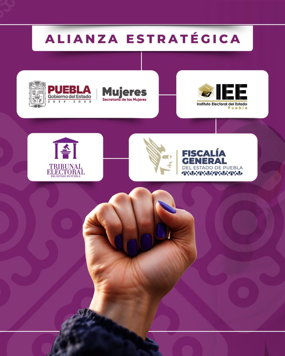 OPPM Puebla tweet media