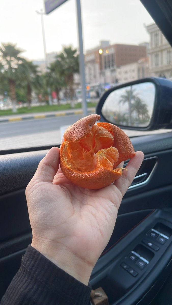ربّما غيداء؟ tweet media