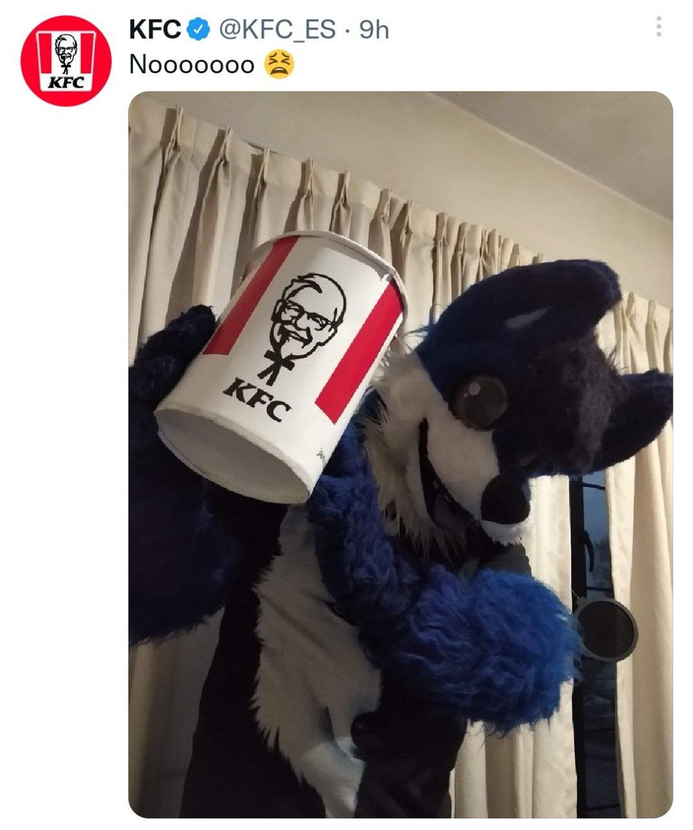 FurryMems's tweet photo. https://t.co/ICQulbhvei