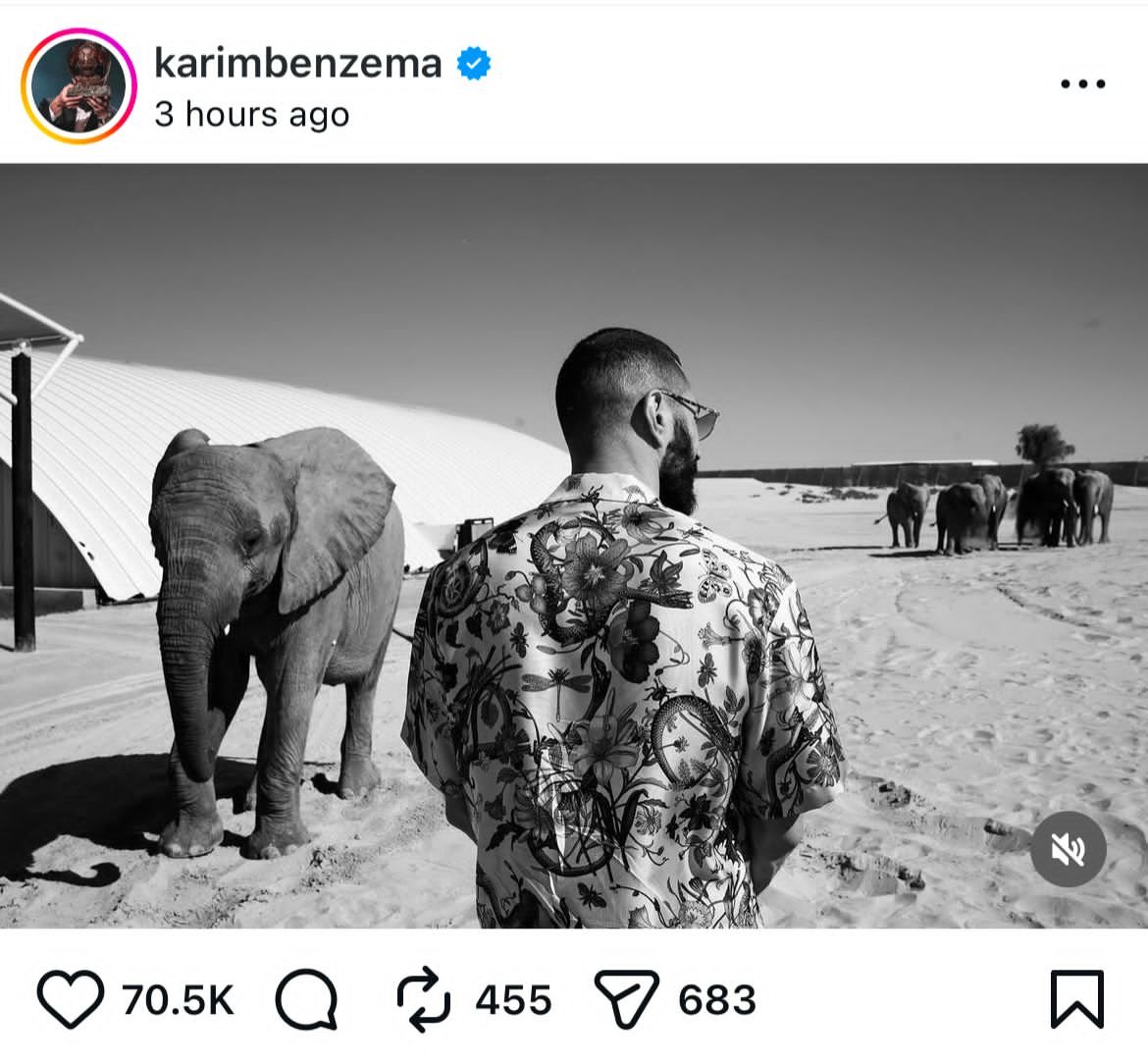 صحيفة الكأس tweet media