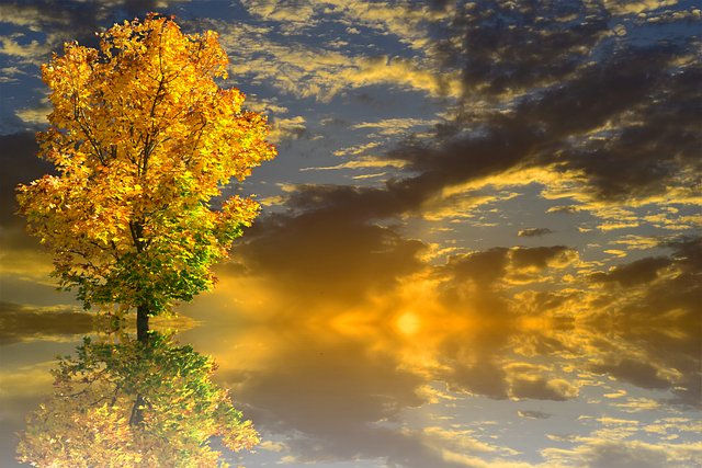 Lucille Hill tweet media