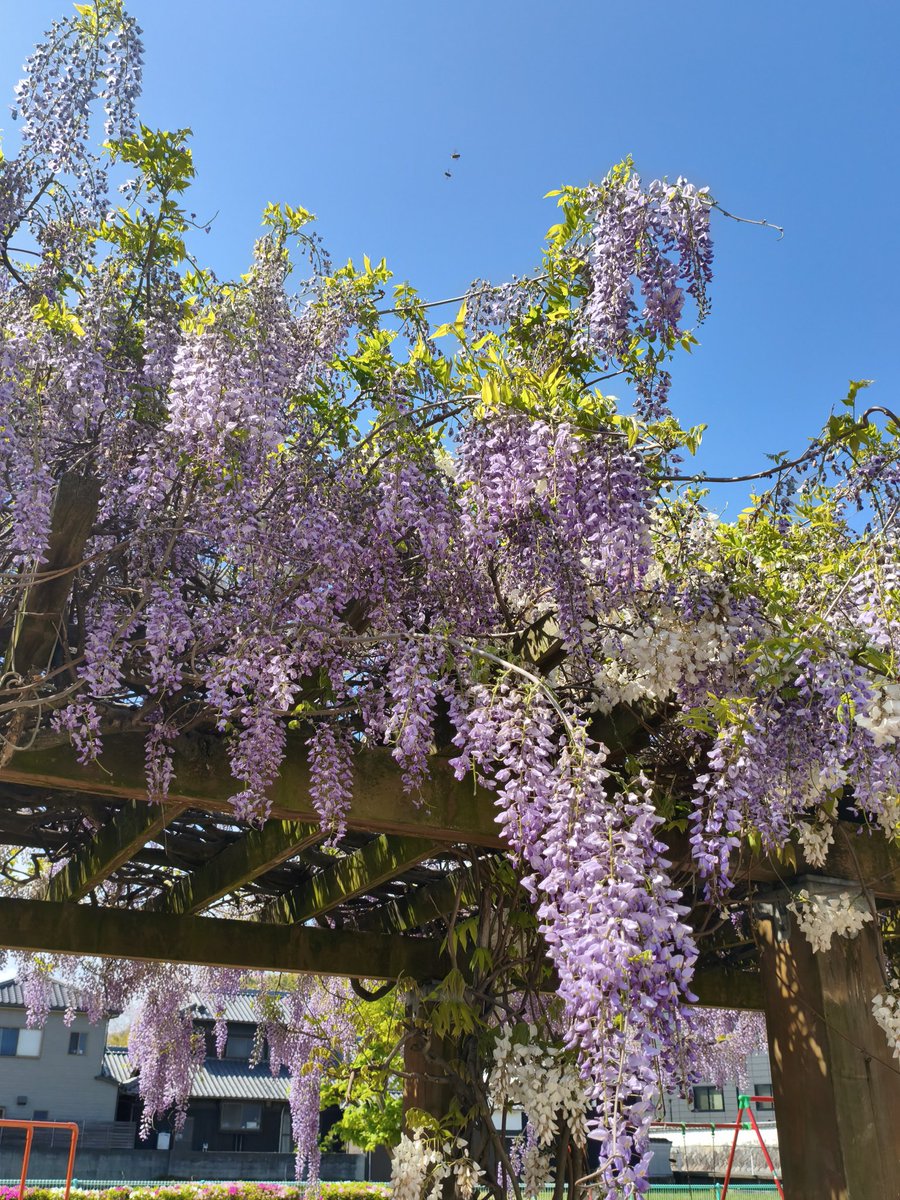 濱ちゃん🤣 tweet media