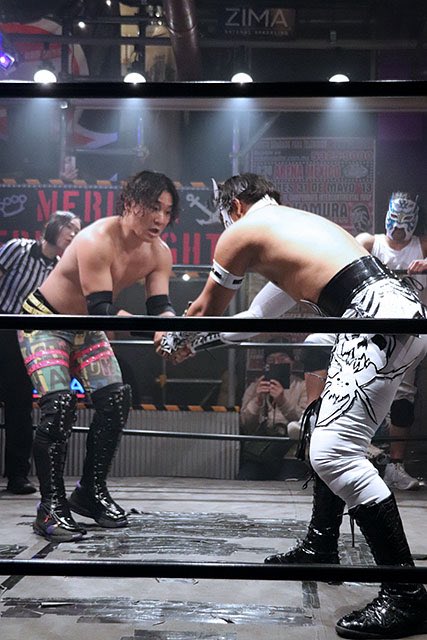 SpiderFly Luchador tweet media