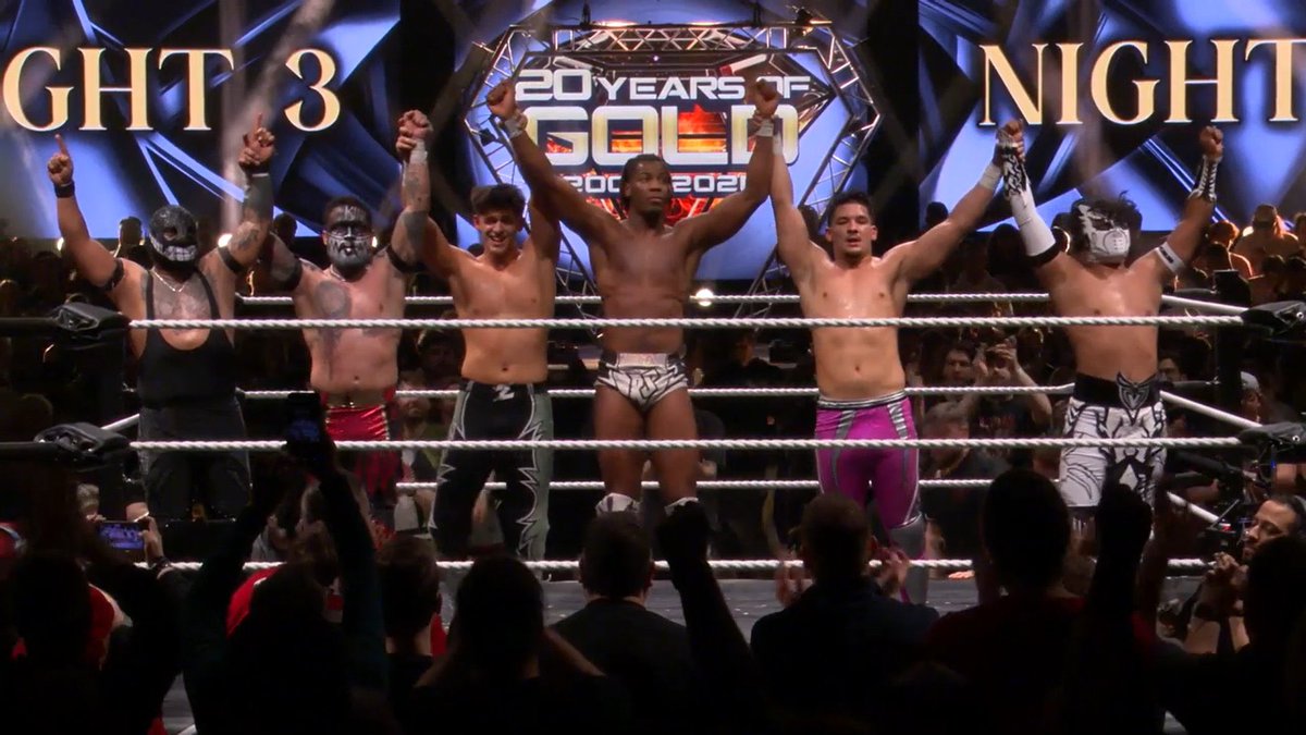 SpiderFly Luchador tweet media