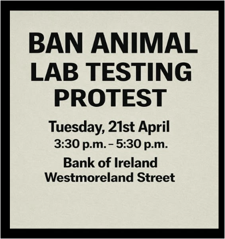 AnimalPartyIE's tweet image. 🚨🐾 Stand up for animals — your voice matters! 
Join us tomorrow (Tuesday) at 3:30PM outside the Bank of #Ireland, Westmoreland St., #Dublin city centre 📍 for a peaceful protest against animal lab testing.
@theIAVS @SAFRIreland 
#DublinCentral 
#BanAnimalLabTesting