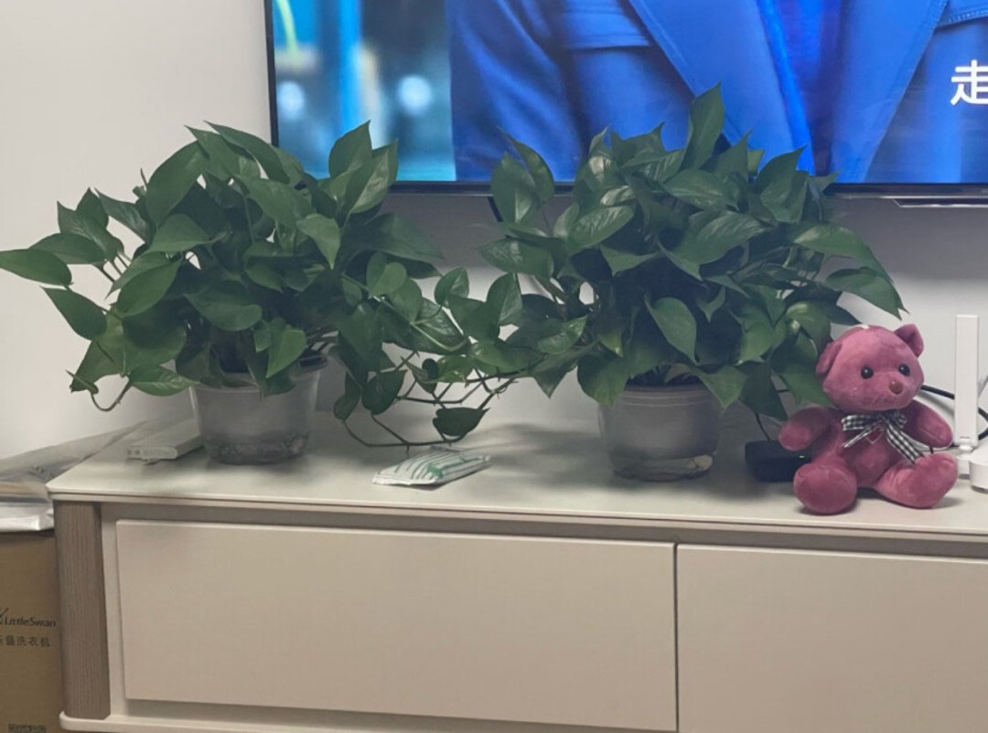 Nana Agman tweet media