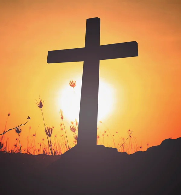 AnimeTrends tweet media