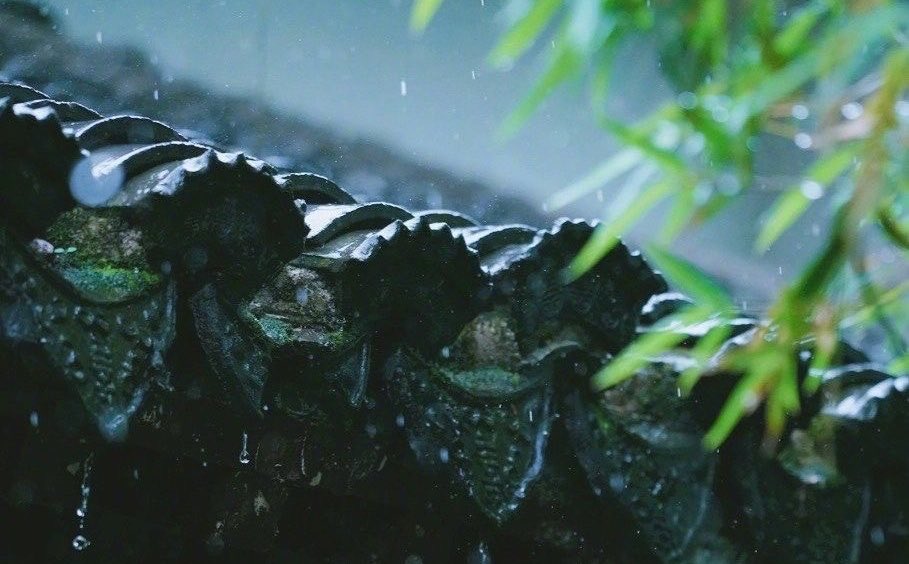 ม่านเมฆดำครึ้มคลุมขุนเขา— ดูเงียบเหงาเดียวดาย
ความคำนึงกลั่นเป็นสุรา หลงเร้นในฝัน อดีตเปียกปอน

“วัสสานฤดู… คงหวนคืนในเร็ววัน”