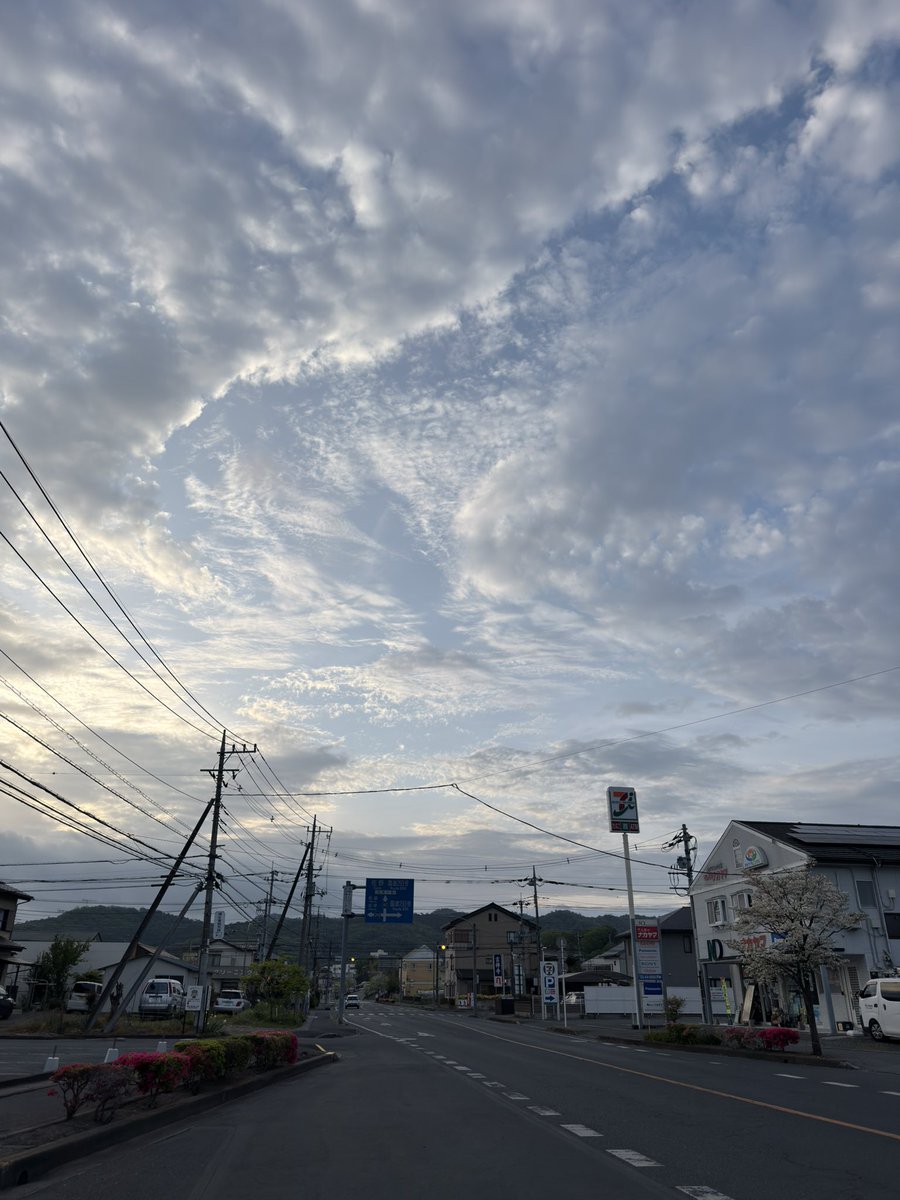 まめ🐶mametaro tweet media