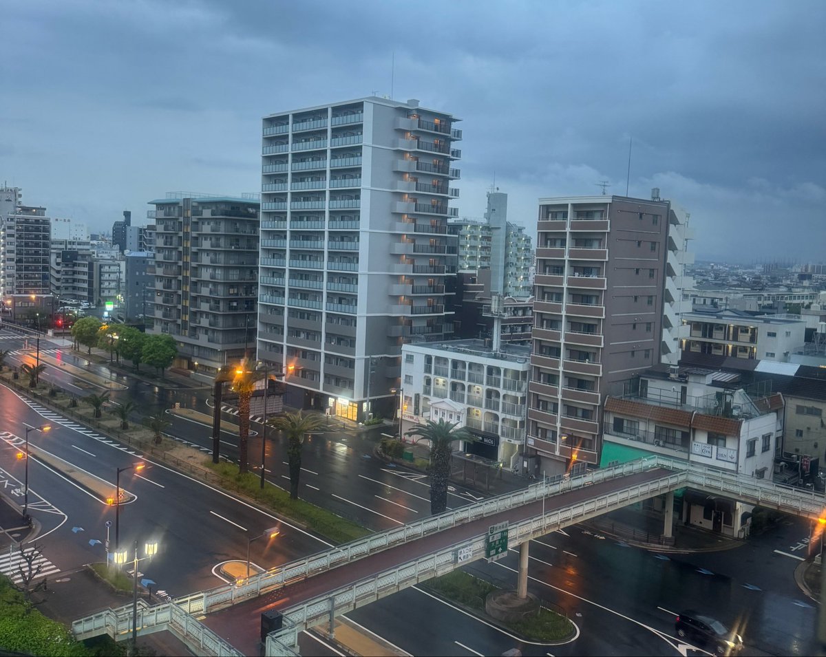 森乃 きつね(檎ちゃん)＠20畳ぐらいの部屋に住みたいｗ tweet media