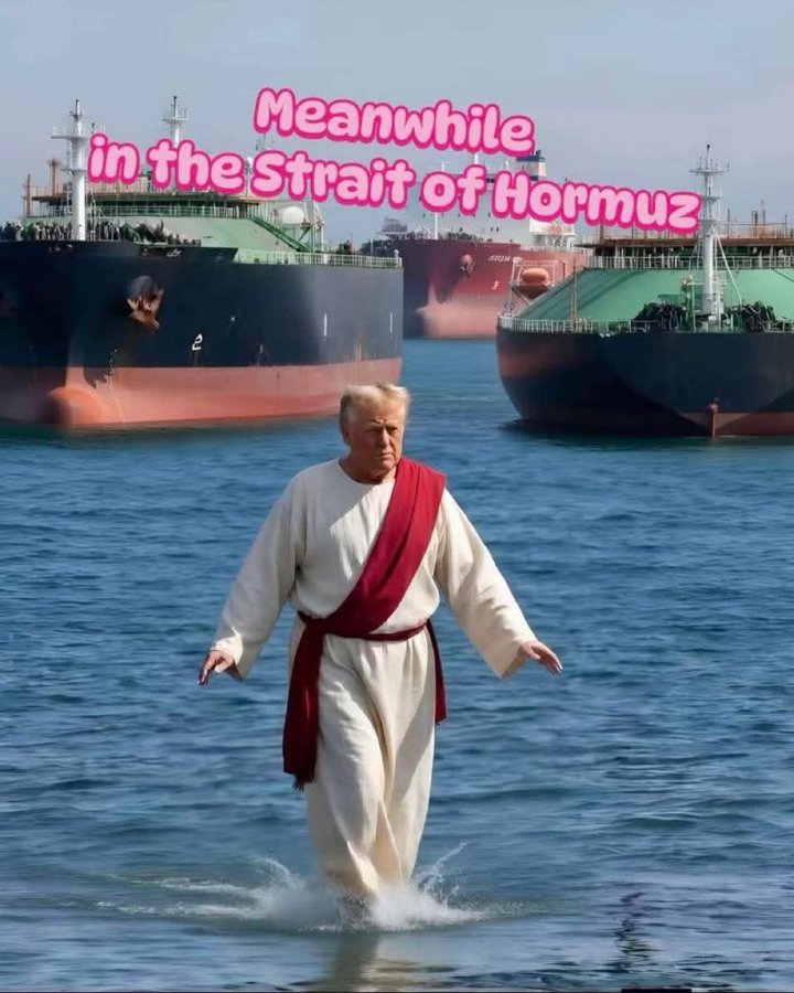 Fintelwudelwix tweet media