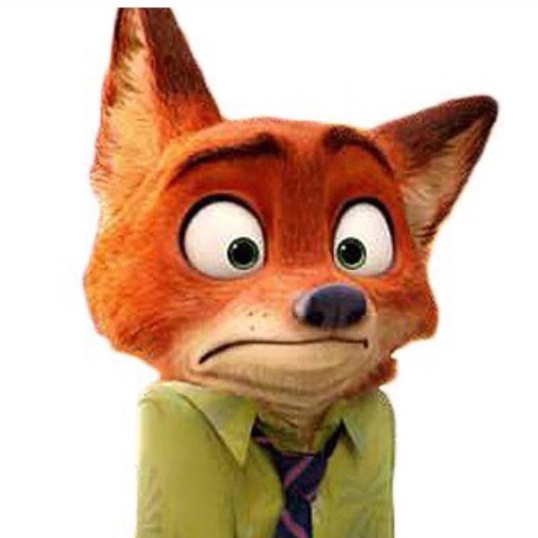 BasicFoxFurry tweet media
