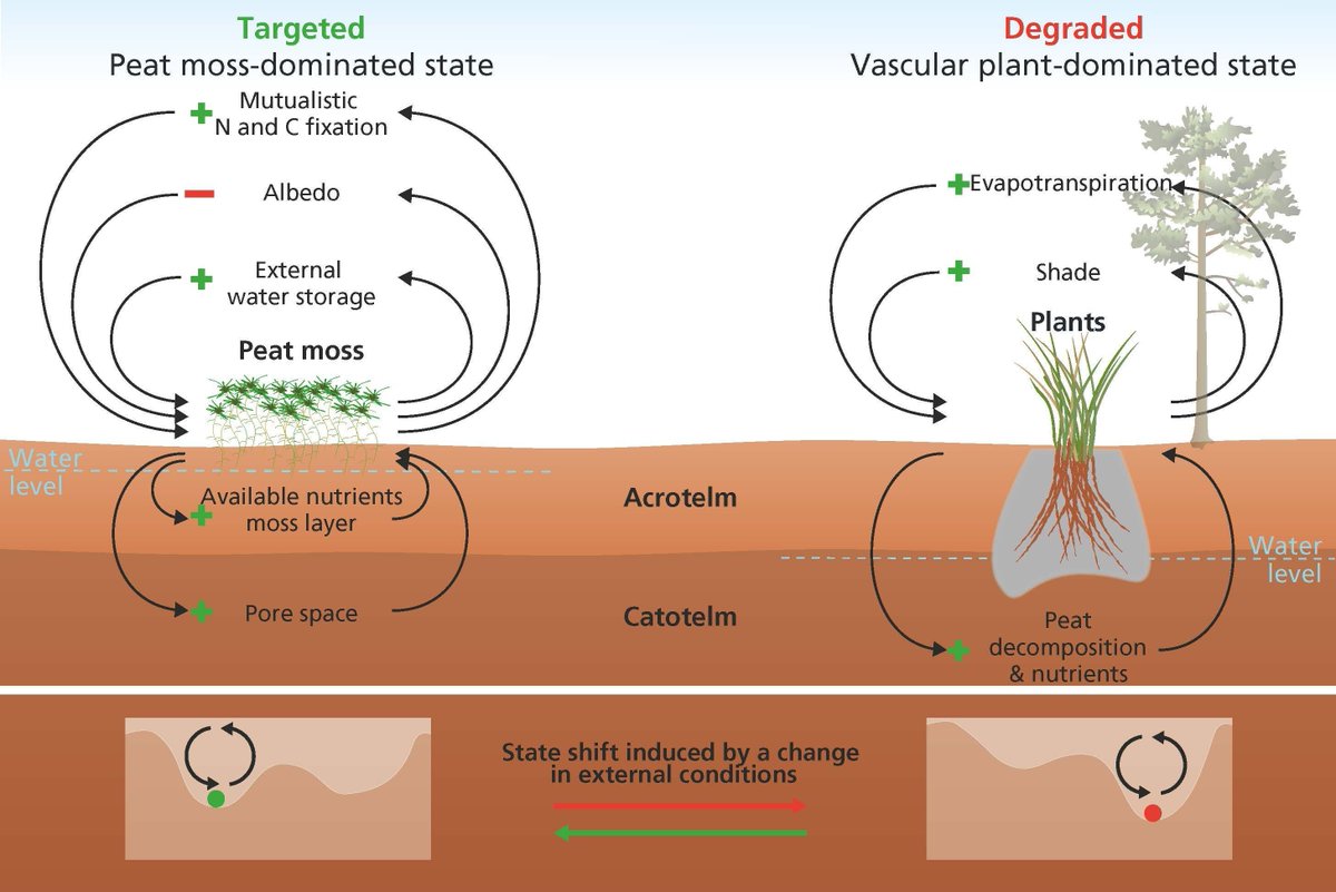 Global Change Biology tweet media