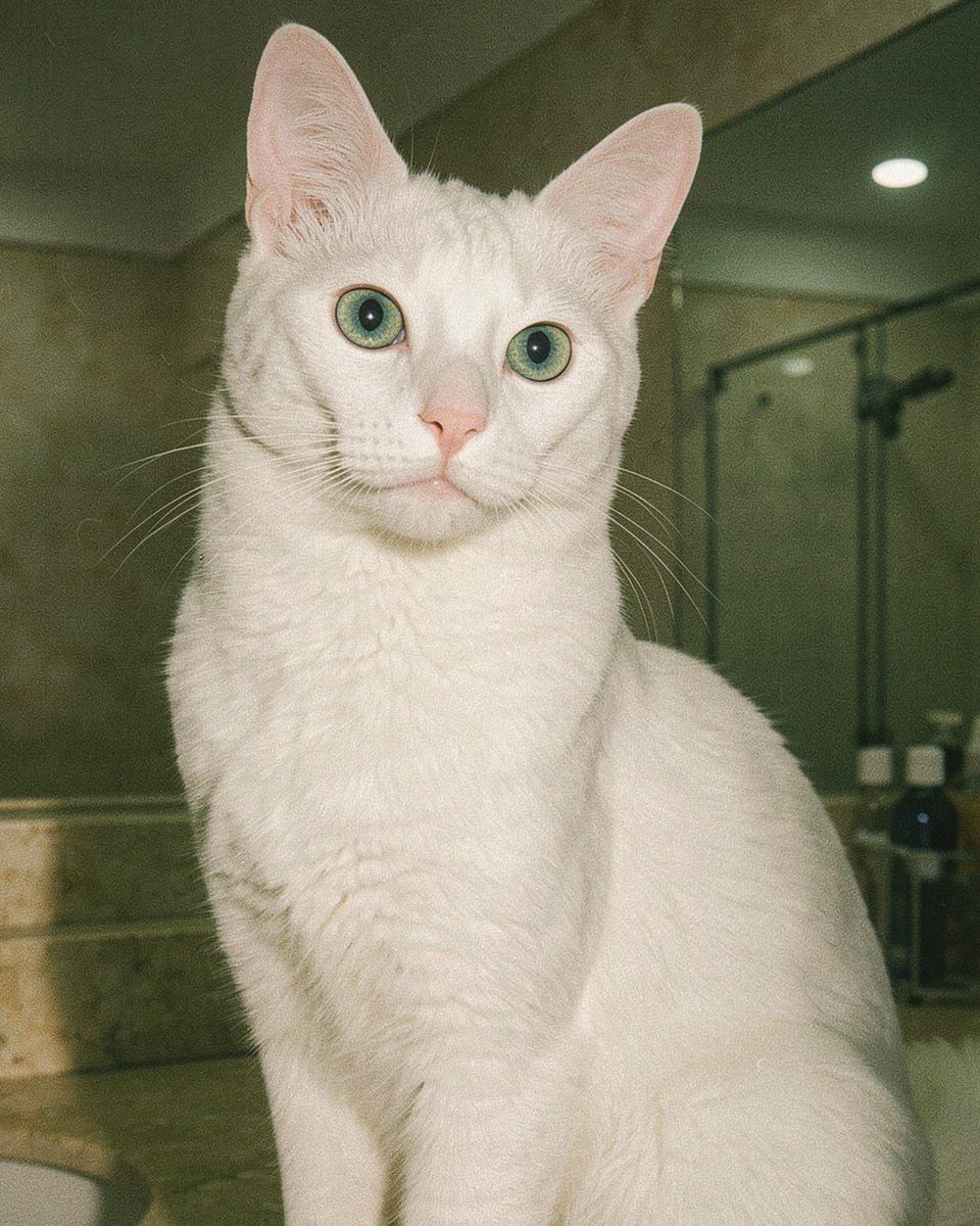 ok deitei pra esse filtro novo do instagram perfeito!!!