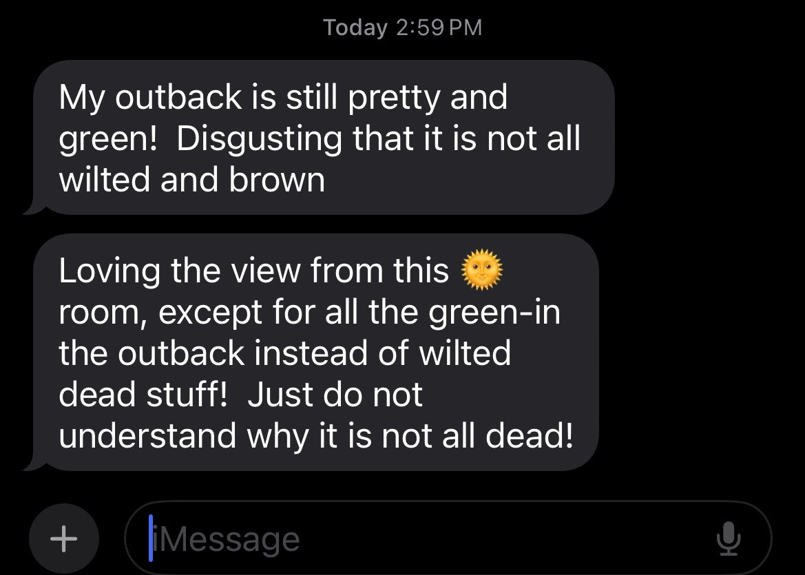 chadwick tweet media