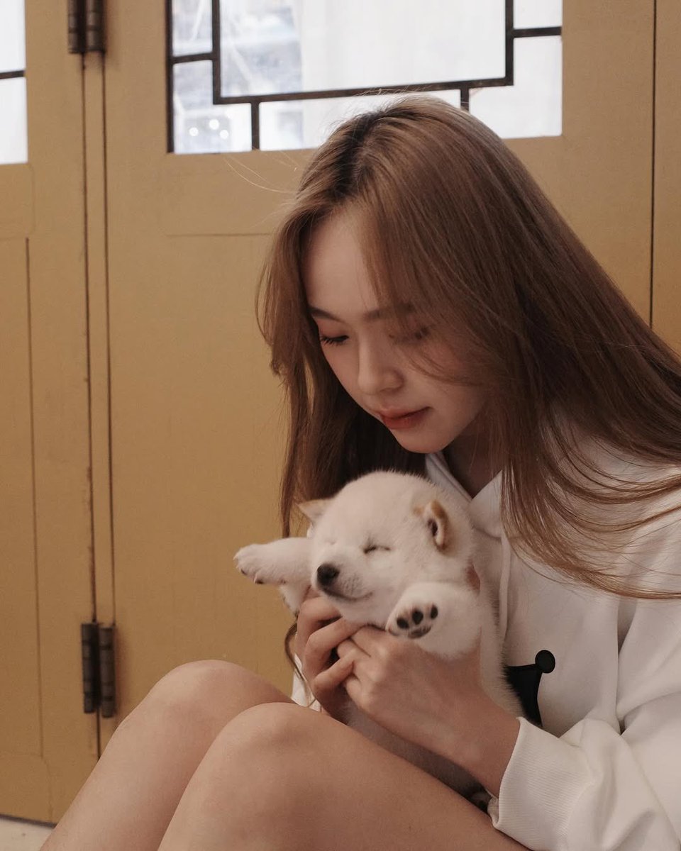 𝒽𝒶𝓃𝒶⊹.˚🍒 tweet media