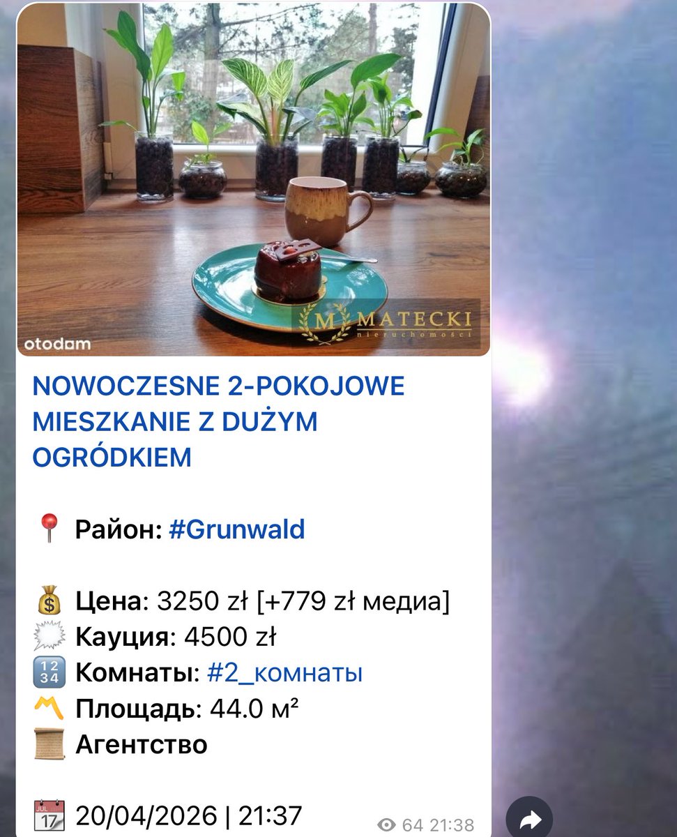 ryabinnna's tweet photo. шо за замануха ????? вы думаете я тортик увижу и побегу 🤨🤨🤨 снимать вашу хату https://t.co/NjUThka0bR