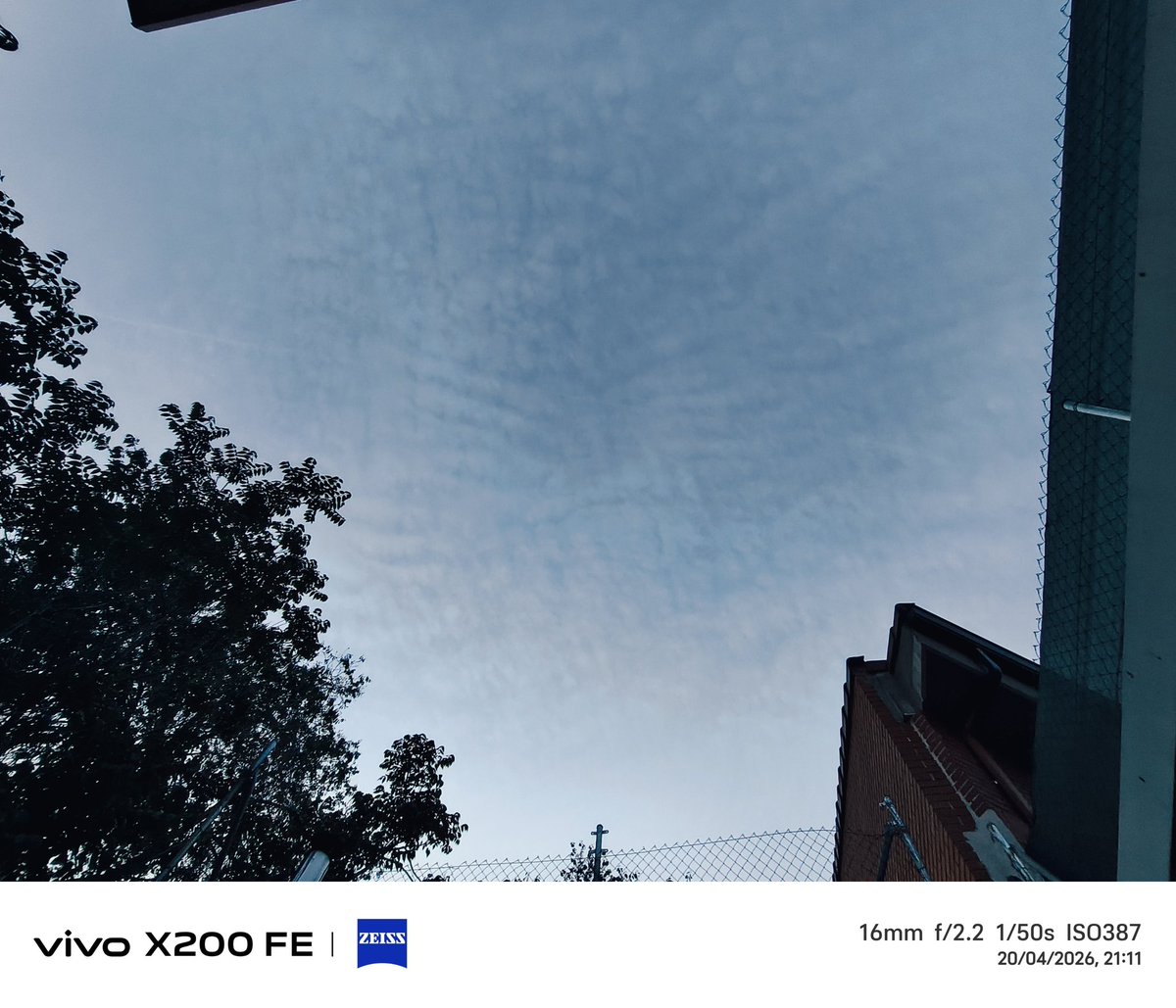 🅼🅸🅶🆄🅴🅻 tweet media