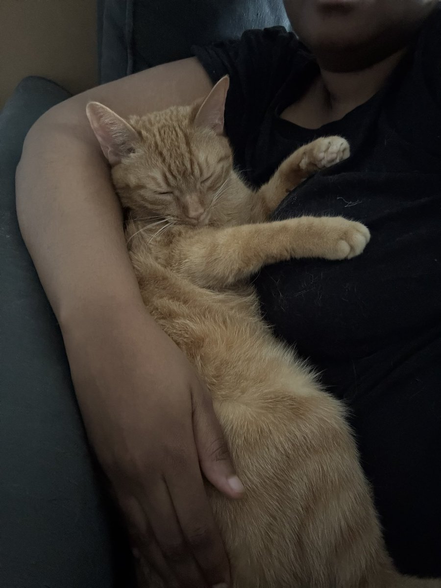 ethical hater tweet media