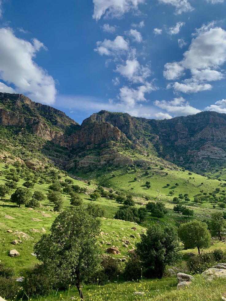 ✯ بني معروف - Druze ✯ tweet media