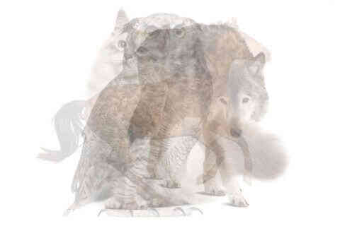 ゆうき🇺🇸人間心理の先生 tweet media