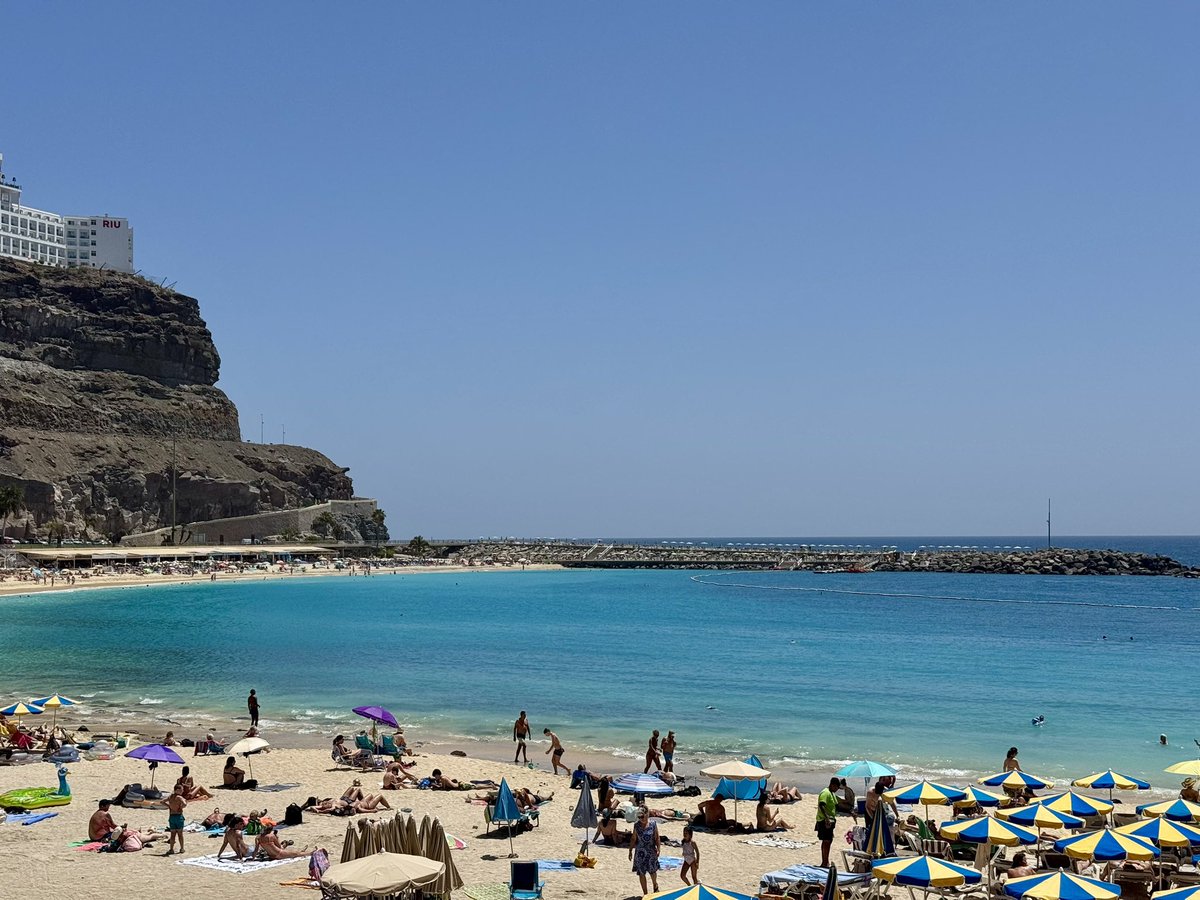 Maxim Vos tweet media