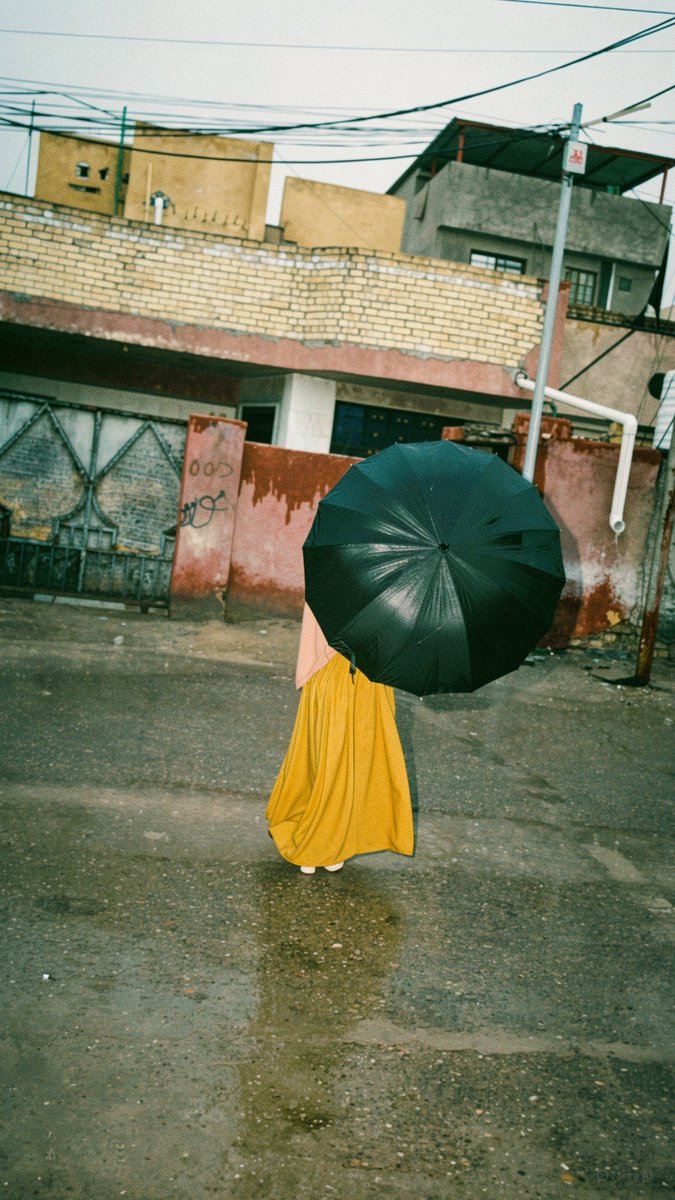 شذى الربيعي tweet media