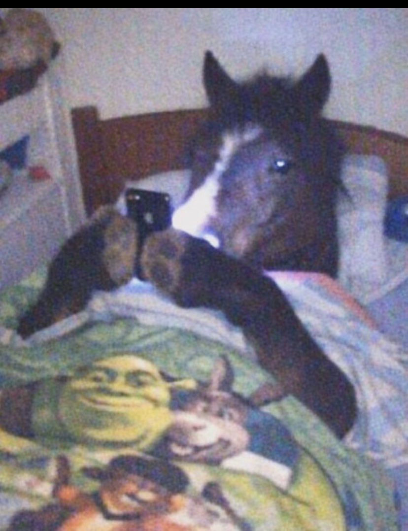 Vini ❤️‍🔥 tweet media