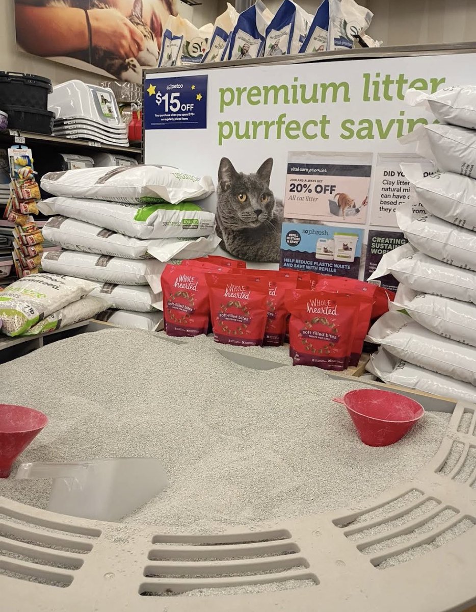 𝚜𝚌𝚘𝚞𝚝.𓆝 tweet media