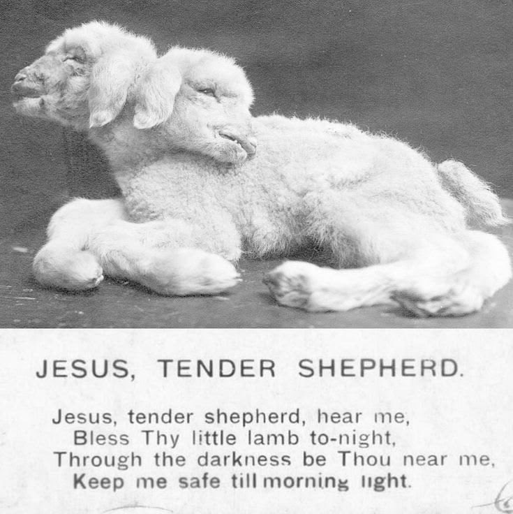 Lett🪾 tweet media