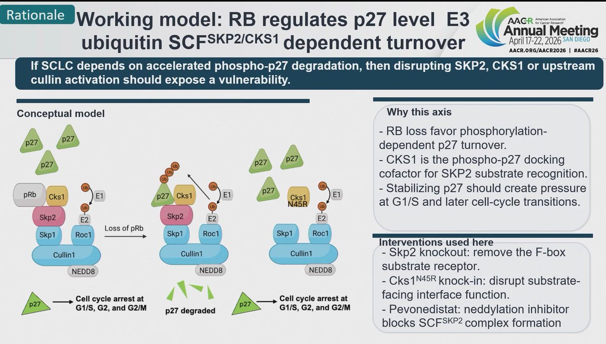 LUNGevity Foundation tweet media