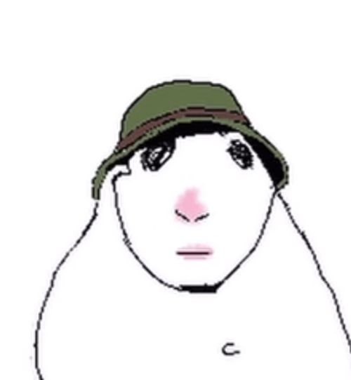 kapibara hogo tweet media