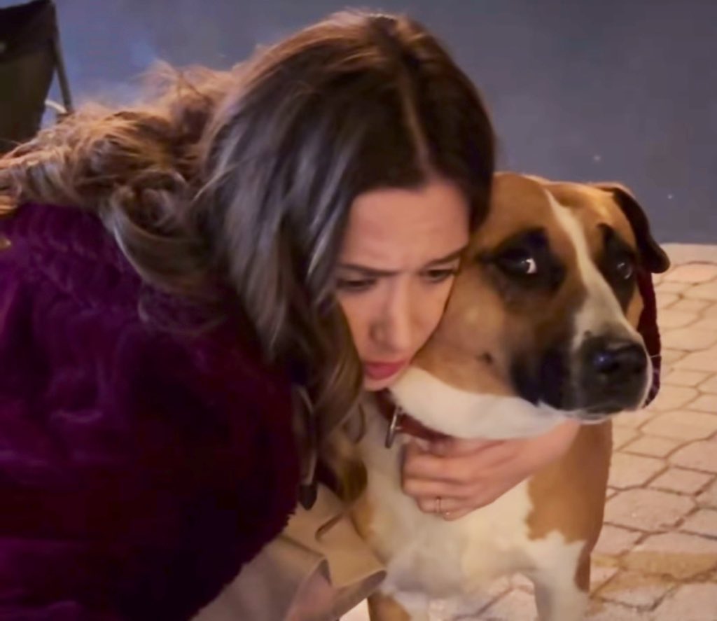 jelevision's tweet photo. ilsu: 😌☺️ 
the dog: 😳😳

#arafta https://t.co/K47VKaaRW1