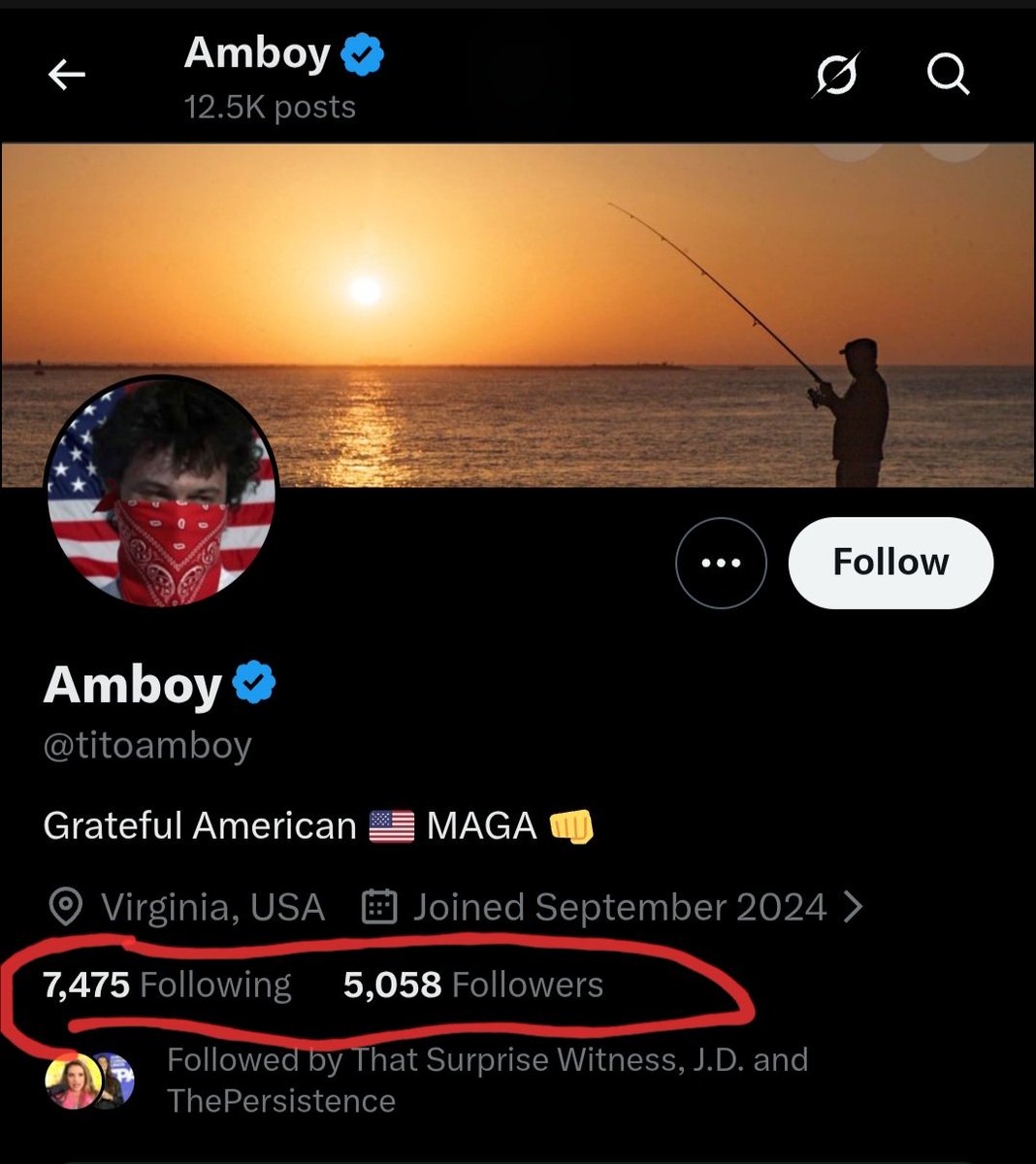 Gibson Girl on Acid tweet media