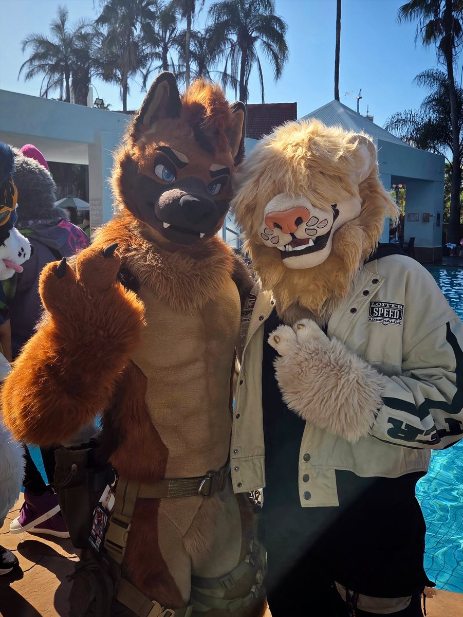 Found out all of his tactical bags are just full of puppy kibble 🙄

<a href="/RingerShep/">Ringer</a>