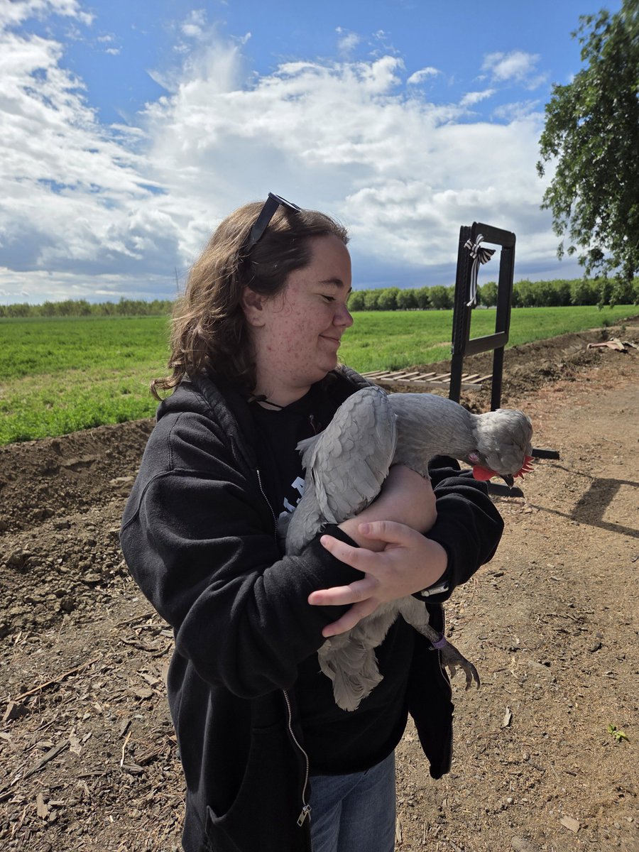 UCMercedCAPE's tweet photo. The CAPE staff spent last Friday at a team retreat on the farm yard where we learned about Central Valley politics and priorities. 

#CAPE #UCMerced #CentralValleyPolitics #Water #Chicken https://t.co/u8HREvKlhK